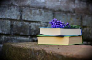 Recenzje książek — blogi książkowe