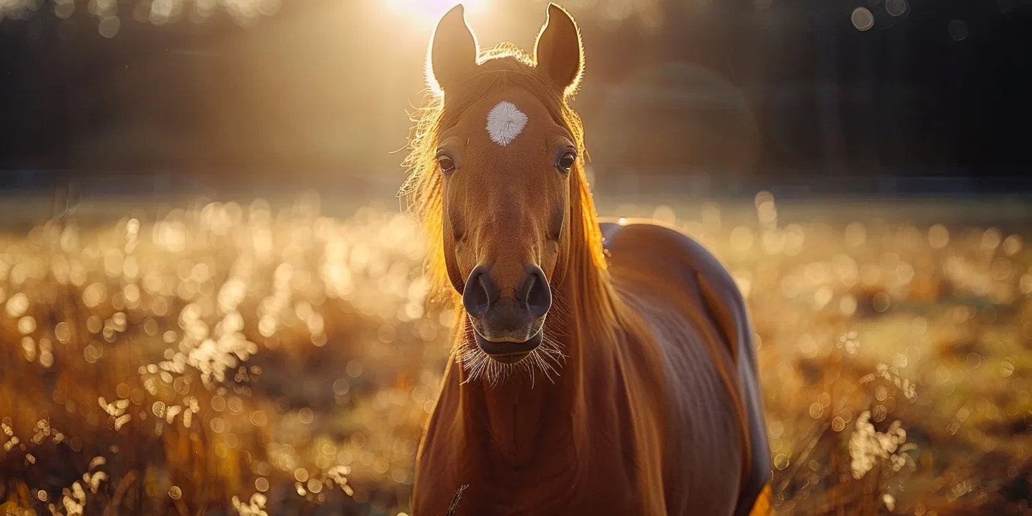 Co lepsze trawa z rolki czy siana?